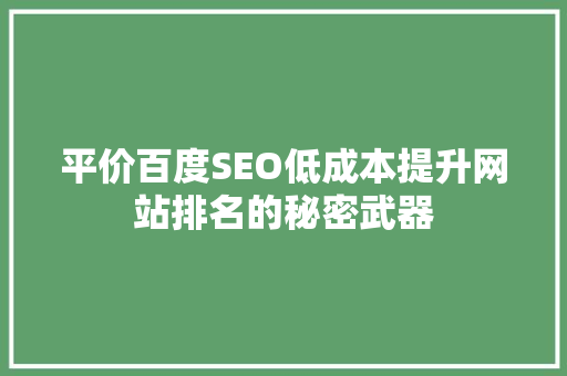 平价百度SEO低成本提升网站排名的秘密武器