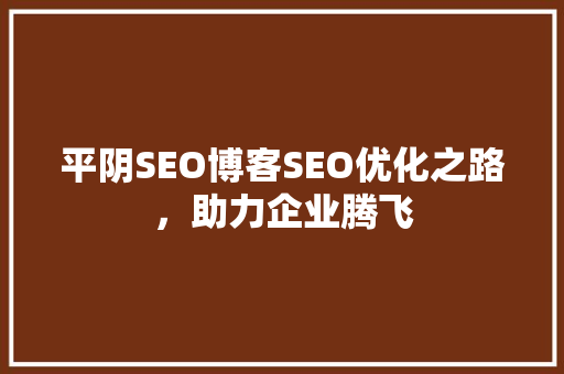 平阴SEO博客SEO优化之路，助力企业腾飞