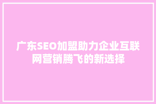 广东SEO加盟助力企业互联网营销腾飞的新选择