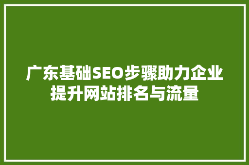 广东基础SEO步骤助力企业提升网站排名与流量