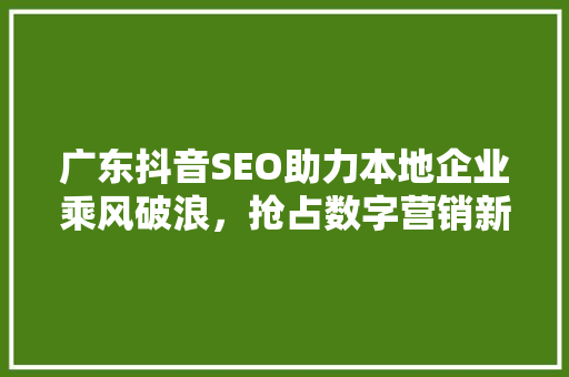 广东抖音SEO助力本地企业乘风破浪，抢占数字营销新高地