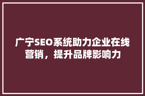 广宁SEO系统助力企业在线营销，提升品牌影响力