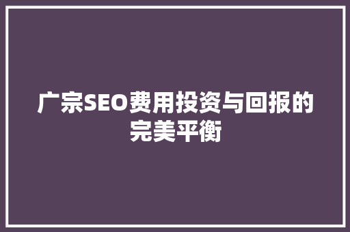 广宗SEO费用投资与回报的完美平衡