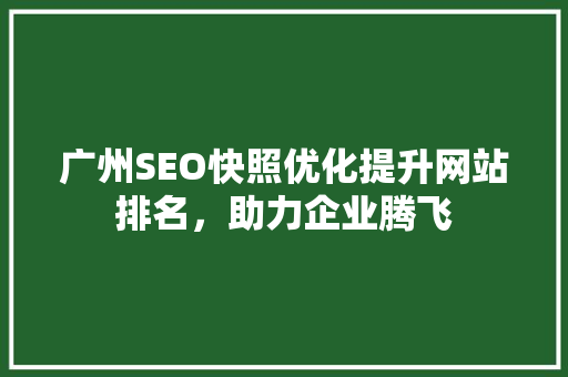 广州SEO快照优化提升网站排名，助力企业腾飞