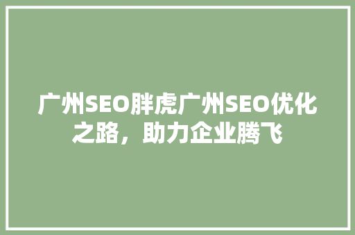 广州SEO胖虎广州SEO优化之路，助力企业腾飞