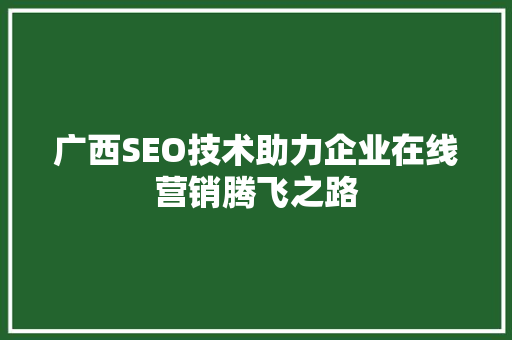 广西SEO技术助力企业在线营销腾飞之路