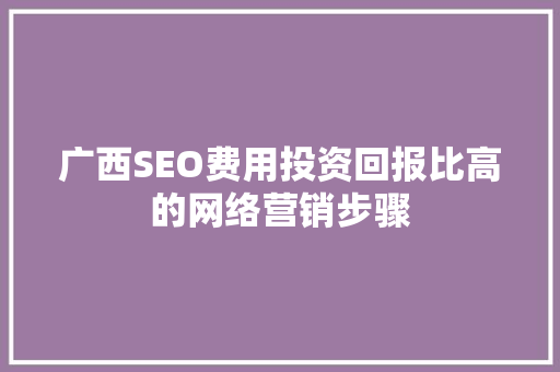 广西SEO费用投资回报比高的网络营销步骤