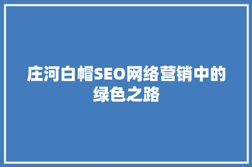 庄河白帽SEO网络营销中的绿色之路