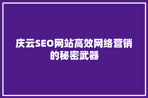 庆云SEO网站高效网络营销的秘密武器