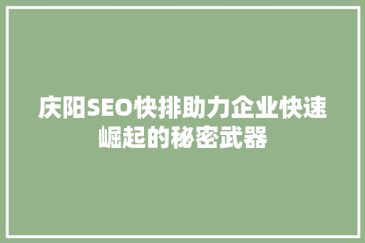 庆阳SEO快排助力企业快速崛起的秘密武器