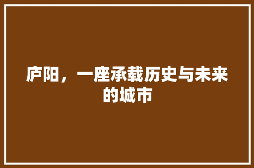 庐阳，一座承载历史与未来的城市