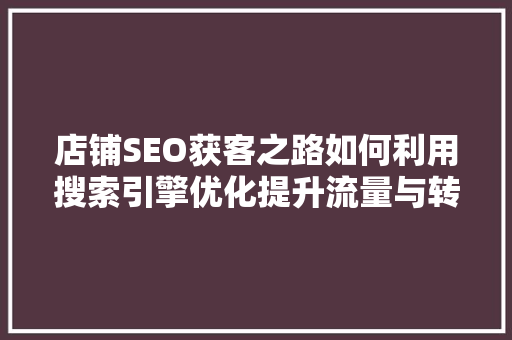 店铺SEO获客之路如何利用搜索引擎优化提升流量与转化率