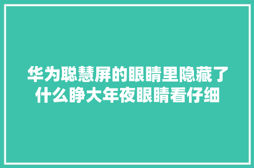 华为聪慧屏的眼睛里隐藏了什么睁大年夜眼睛看仔细