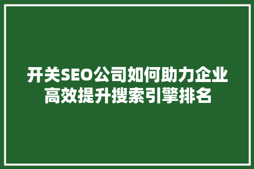 开关SEO公司如何助力企业高效提升搜索引擎排名