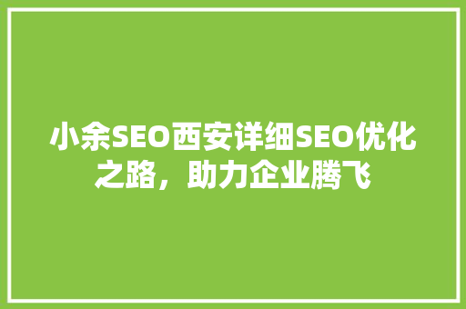 小余SEO西安详细SEO优化之路，助力企业腾飞