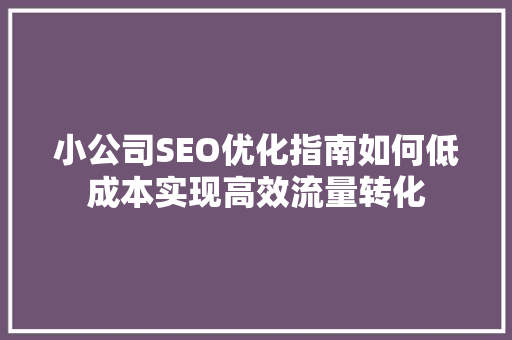 小公司SEO优化指南如何低成本实现高效流量转化