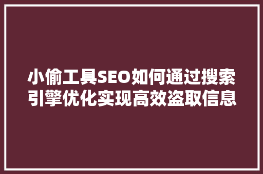 小偷工具SEO如何通过搜索引擎优化实现高效盗取信息