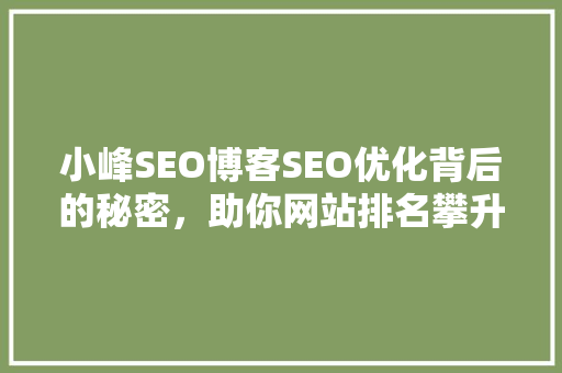 小峰SEO博客SEO优化背后的秘密，助你网站排名攀升