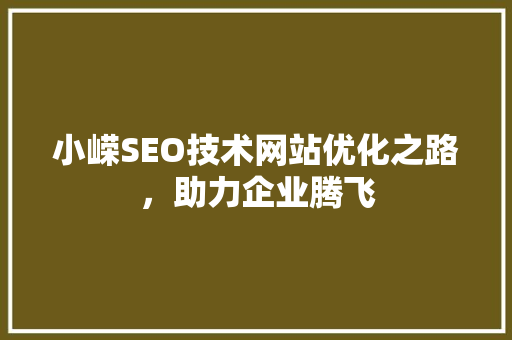 小嵘SEO技术网站优化之路，助力企业腾飞