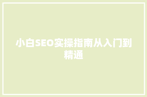 小白SEO实操指南从入门到精通