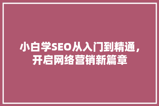 小白学SEO从入门到精通，开启网络营销新篇章