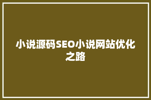 小说源码SEO小说网站优化之路