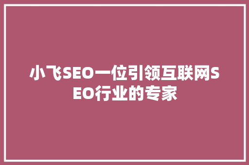 小飞SEO一位引领互联网SEO行业的专家