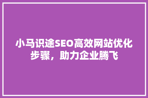 小马识途SEO高效网站优化步骤，助力企业腾飞