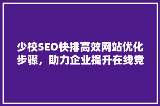 少校SEO快排高效网站优化步骤，助力企业提升在线竞争力