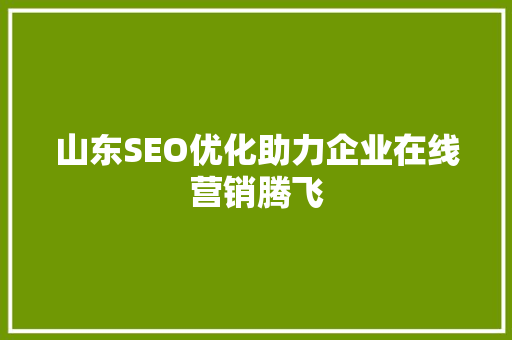 山东SEO优化助力企业在线营销腾飞