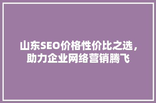 山东SEO价格性价比之选，助力企业网络营销腾飞