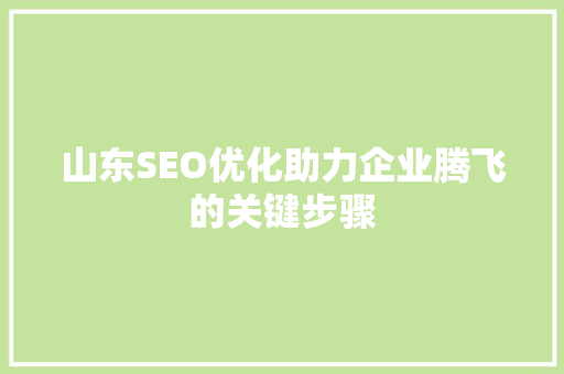 山东SEO优化助力企业腾飞的关键步骤