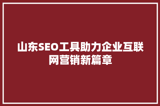 山东SEO工具助力企业互联网营销新篇章