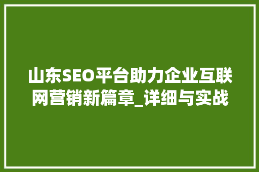 山东SEO平台助力企业互联网营销新篇章_详细与实战方法