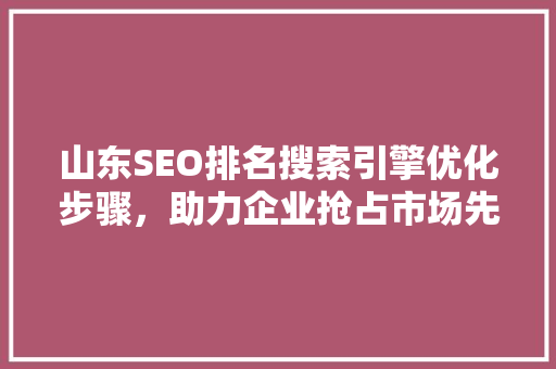 山东SEO排名搜索引擎优化步骤，助力企业抢占市场先机