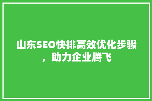 山东SEO快排高效优化步骤，助力企业腾飞