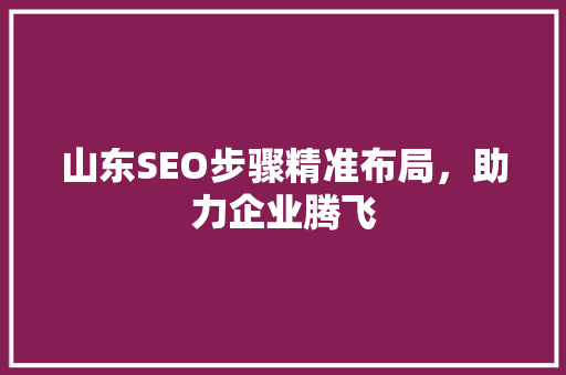 山东SEO步骤精准布局，助力企业腾飞