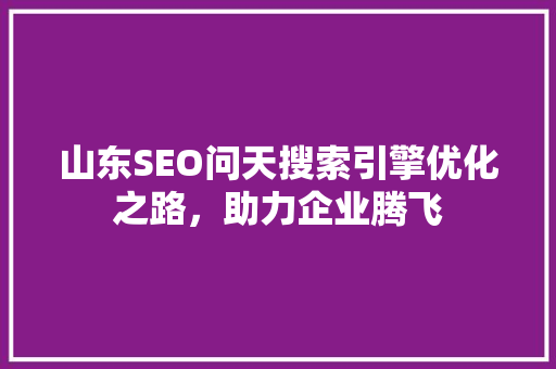 山东SEO问天搜索引擎优化之路，助力企业腾飞