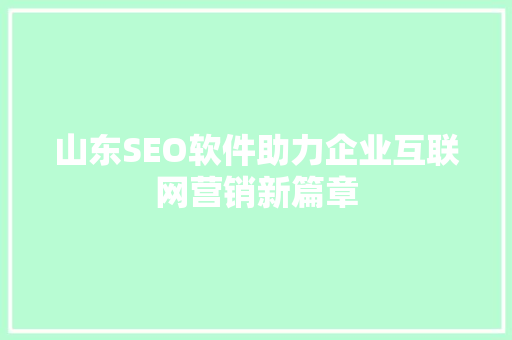 山东SEO软件助力企业互联网营销新篇章