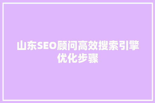 山东SEO顾问高效搜索引擎优化步骤