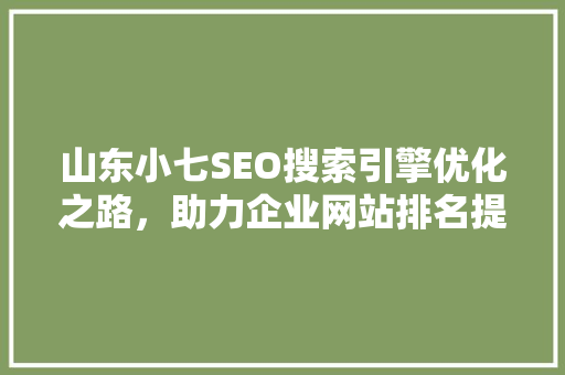 山东小七SEO搜索引擎优化之路，助力企业网站排名提升