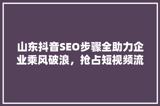 山东抖音SEO步骤全助力企业乘风破浪，抢占短视频流量高地