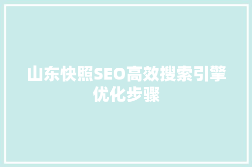 山东快照SEO高效搜索引擎优化步骤