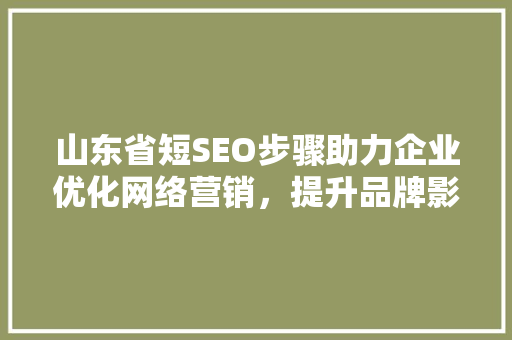 山东省短SEO步骤助力企业优化网络营销，提升品牌影响力