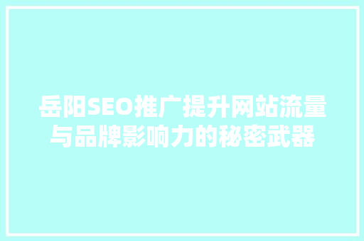 岳阳SEO推广提升网站流量与品牌影响力的秘密武器