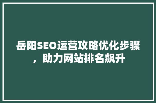 岳阳SEO运营攻略优化步骤，助力网站排名飙升