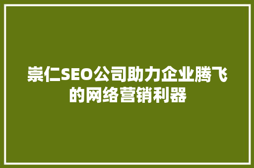 崇仁SEO公司助力企业腾飞的网络营销利器