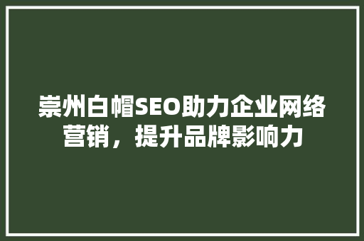 崇州白帽SEO助力企业网络营销，提升品牌影响力