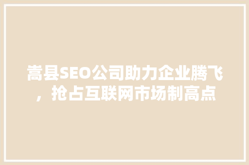 嵩县SEO公司助力企业腾飞，抢占互联网市场制高点