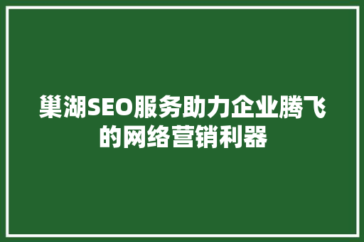 巢湖SEO服务助力企业腾飞的网络营销利器